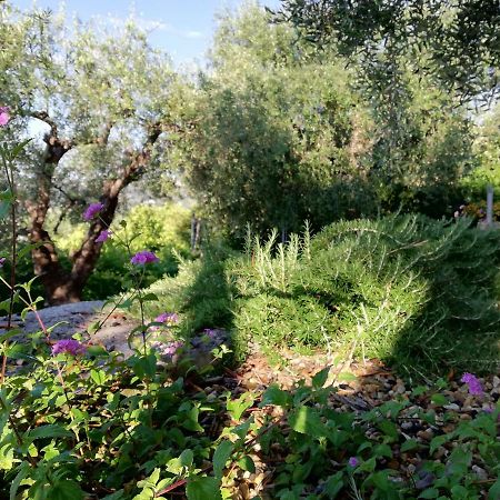 Sugli Allori Diano Marina Exteriér fotografie